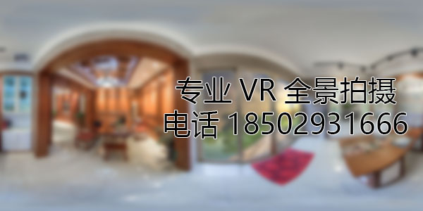 新华VR全景技术在未来可能的发展方向和应用领域?